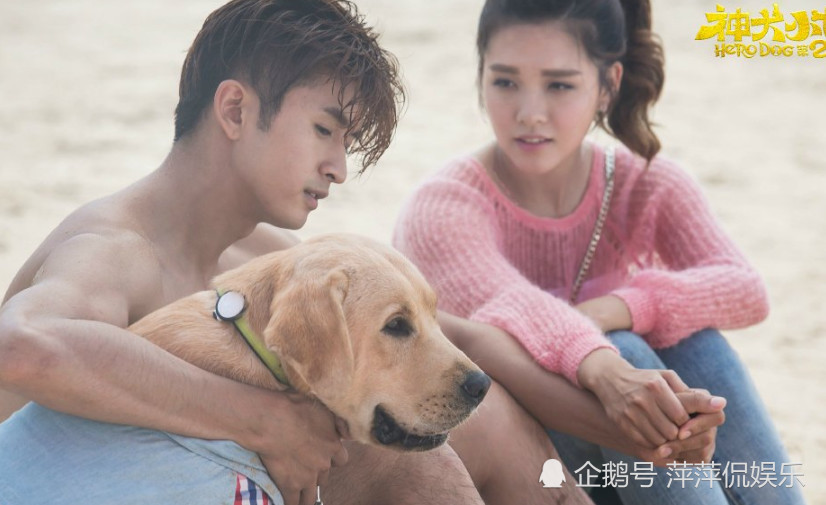 《神犬小七》第三季开播,张云龙不再是男主?换成他网友纷纷赞同
