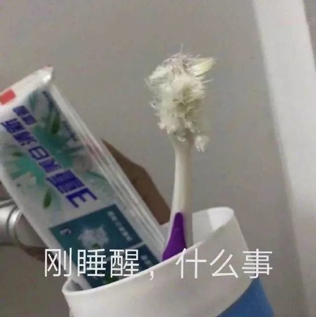 表情包:斗图表情包,刚睡醒,什么事