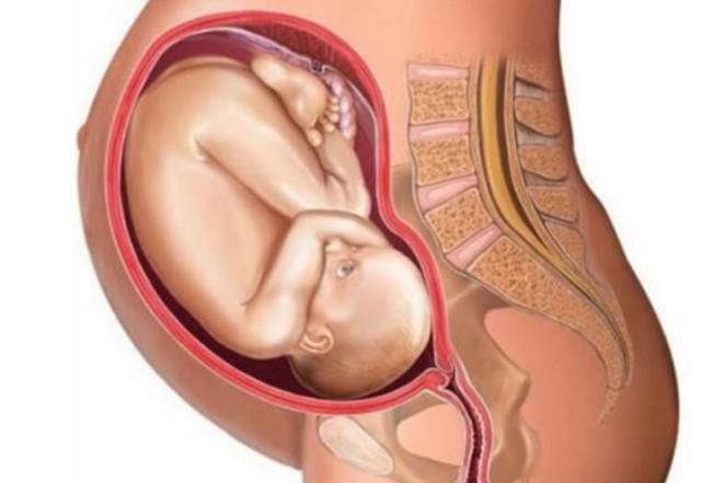 女人怀孕后,这两个部位"越大",生下来的宝宝"越聪明"