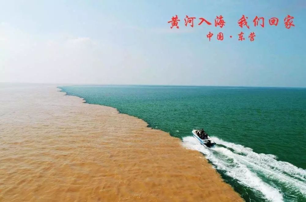 地处渤海与莱州湾的交汇处,是九曲黄河在内陆跋涉数千公里后的入海口