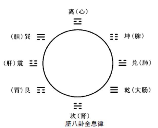 脐部,你只敢灸,不敢针(内含脐针操作方法)