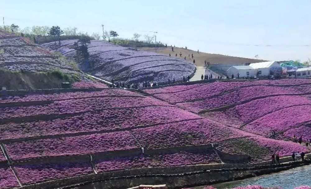 迁西四时之美 花谷独秀 看点快报