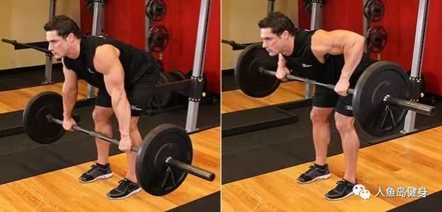 你需要掌握的，练背的王牌动作及细节！