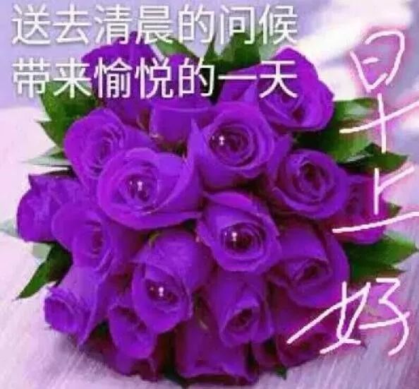阳光暖心的早上好问候祝福语动态图片带字,最美清晨早安问候语唯美