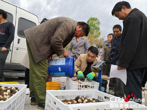 种啥能增收？甘孜州川藏公路第一村的谋发展之路