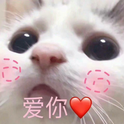 萌宠猫咪表情包:我一点都不想你,我一点半再想!