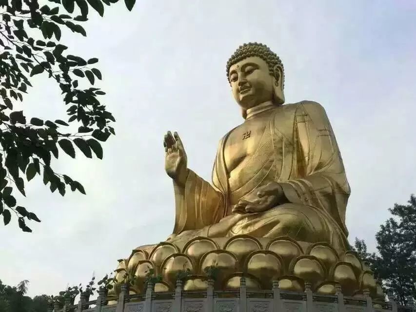 因为禅宗是教外别传,不立文字,直指人心,见性成佛的.