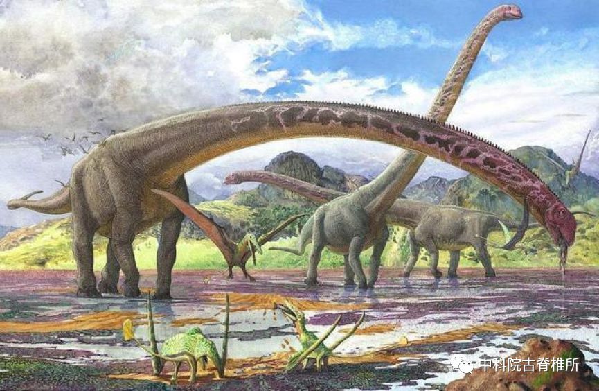 体型巨大的蜥脚类恐龙,是代表性的巨型化的恐龙类群 图源自:网络