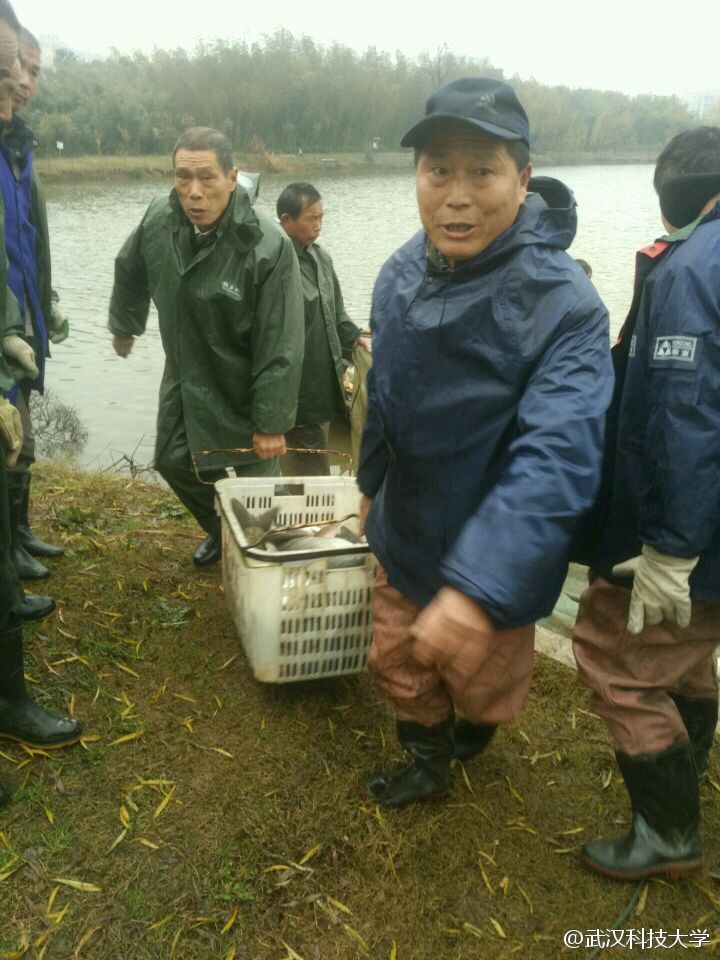 武汉高校捕鱼两万斤 学生免费吃红烧鱼两天(组图)