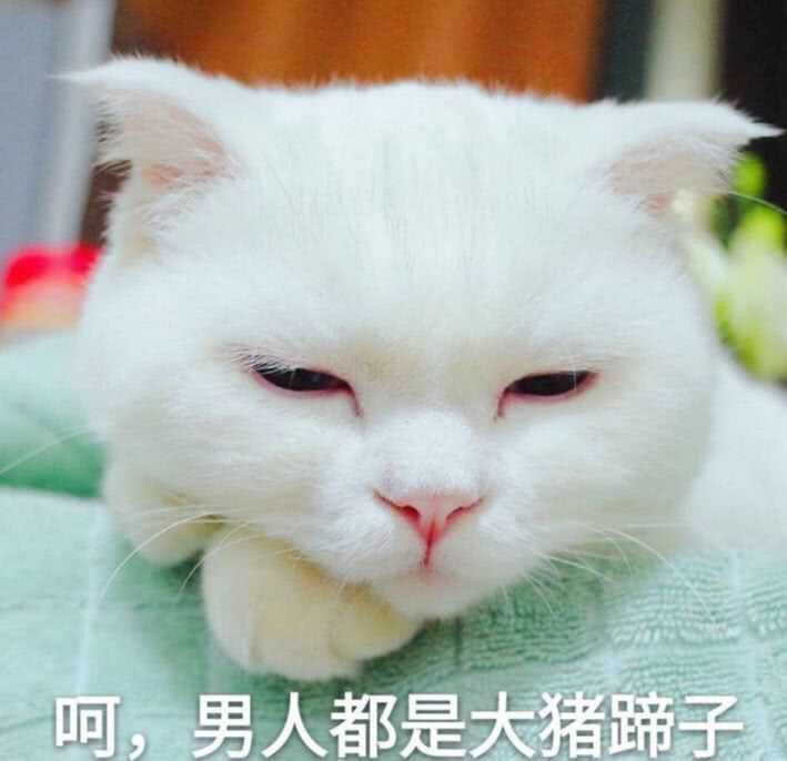 斗图委屈表情包,女生心都被撩萌化了,你肯定没用过!