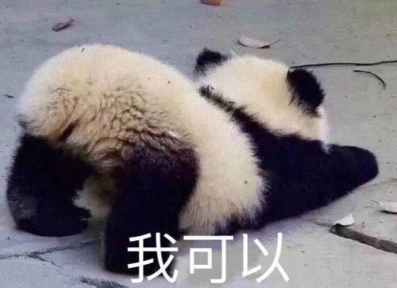 5,我可以的