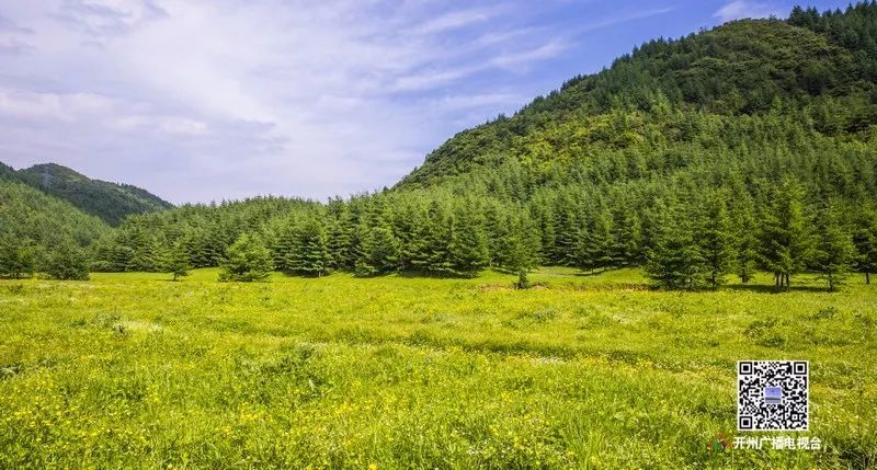 雪宝山国家自然保护区 地形复杂 气候多变 尤其是那人迹罕至的无人区