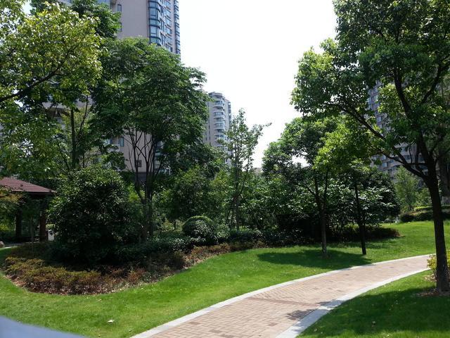 调控“重拳出击”，炒房客以为日子好过了？真正难过的还在后面