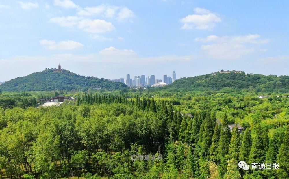 6月23日 记者航拍的 南通狼山国家森林公园 夏日美丽景色 当日 通城