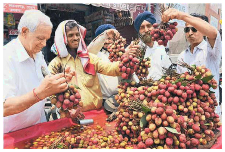 印度吃这种水果被视为土豪，游客：那中国土豪太多了