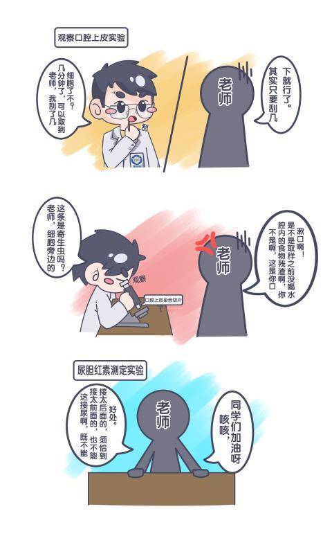 医学生漫画再现趣味学医日常 想报考医学的高考生一定