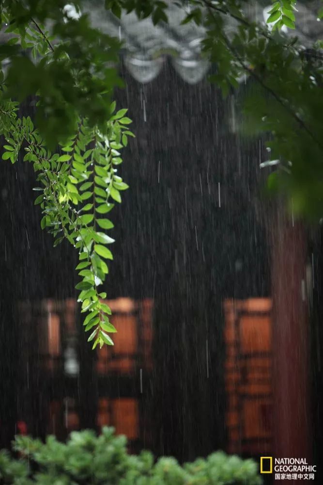 静听雨落下来的声音