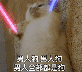 可爱又搞笑的沙雕表情包