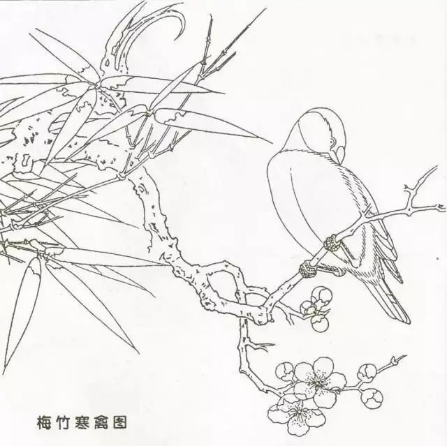 宋代花鸟白描画稿,临摹收藏!