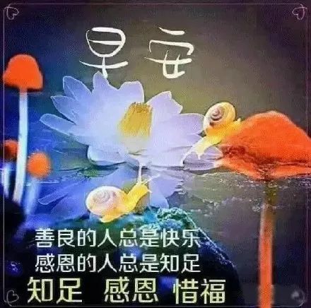 周五早上好愉快暖心的祝福图片 简单温暖的早安说说