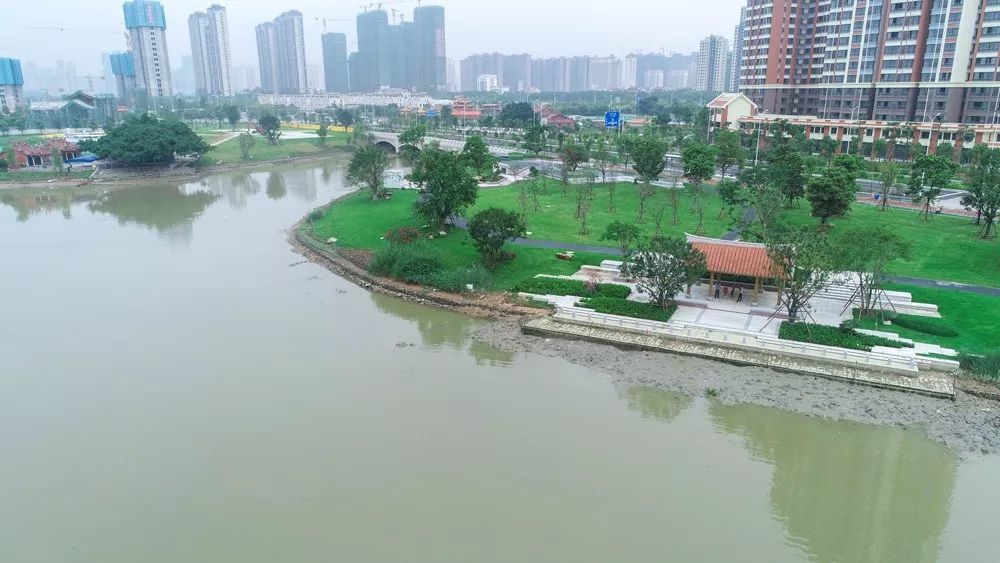 在湘桥湖施工现场看到,湖岸边的绿化种植,草皮铺设已完成,园区的道路