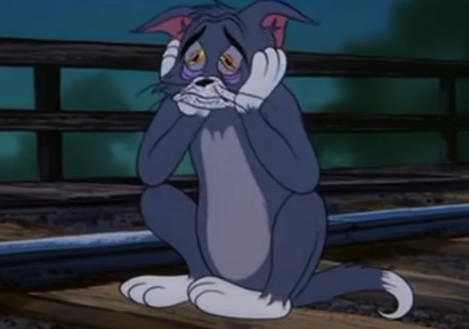 还记得爱笑的汤姆猫吗?看到他伤心的样子,全网都心疼