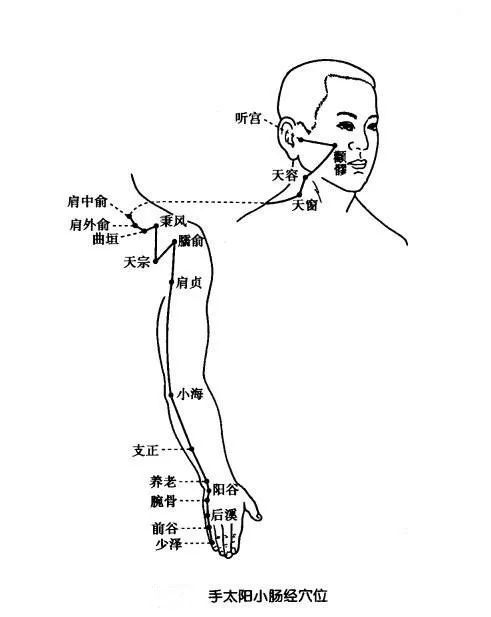 中医入门须知 | 3分钟了解手三阳经的经脉分布与常用