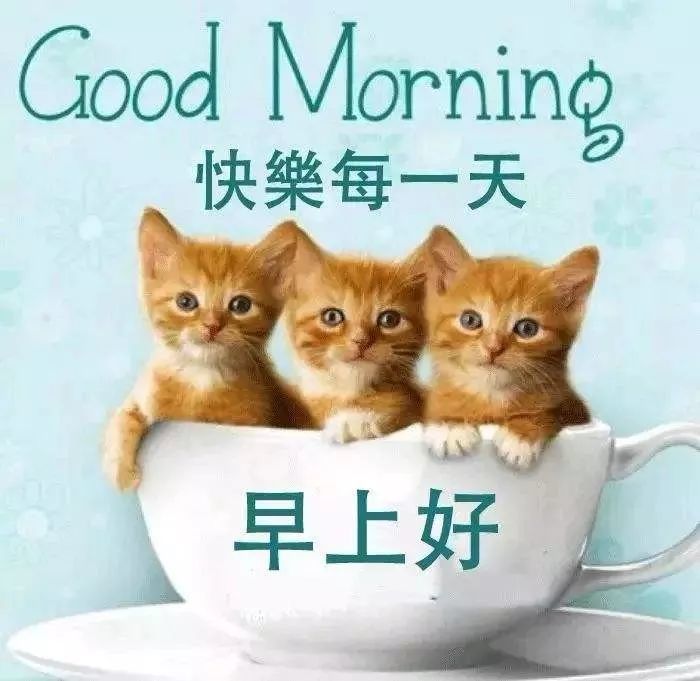6月11日清晨问候大家的早上好漂亮表情图片,早上好温馨祝福语短信
