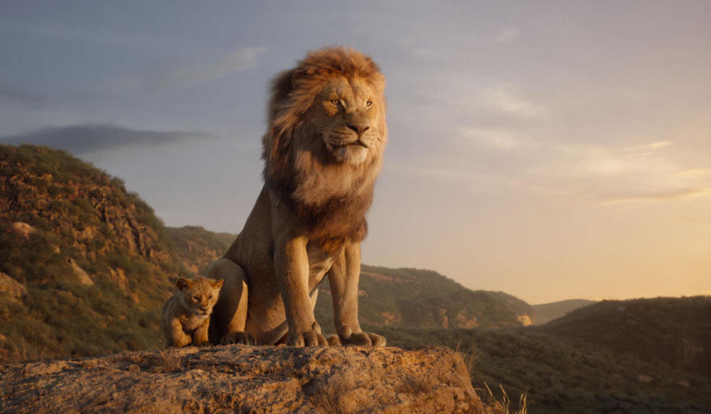 长鬃毛是雄狮的专利?极少数雌狮也能长出浓密的鬃毛