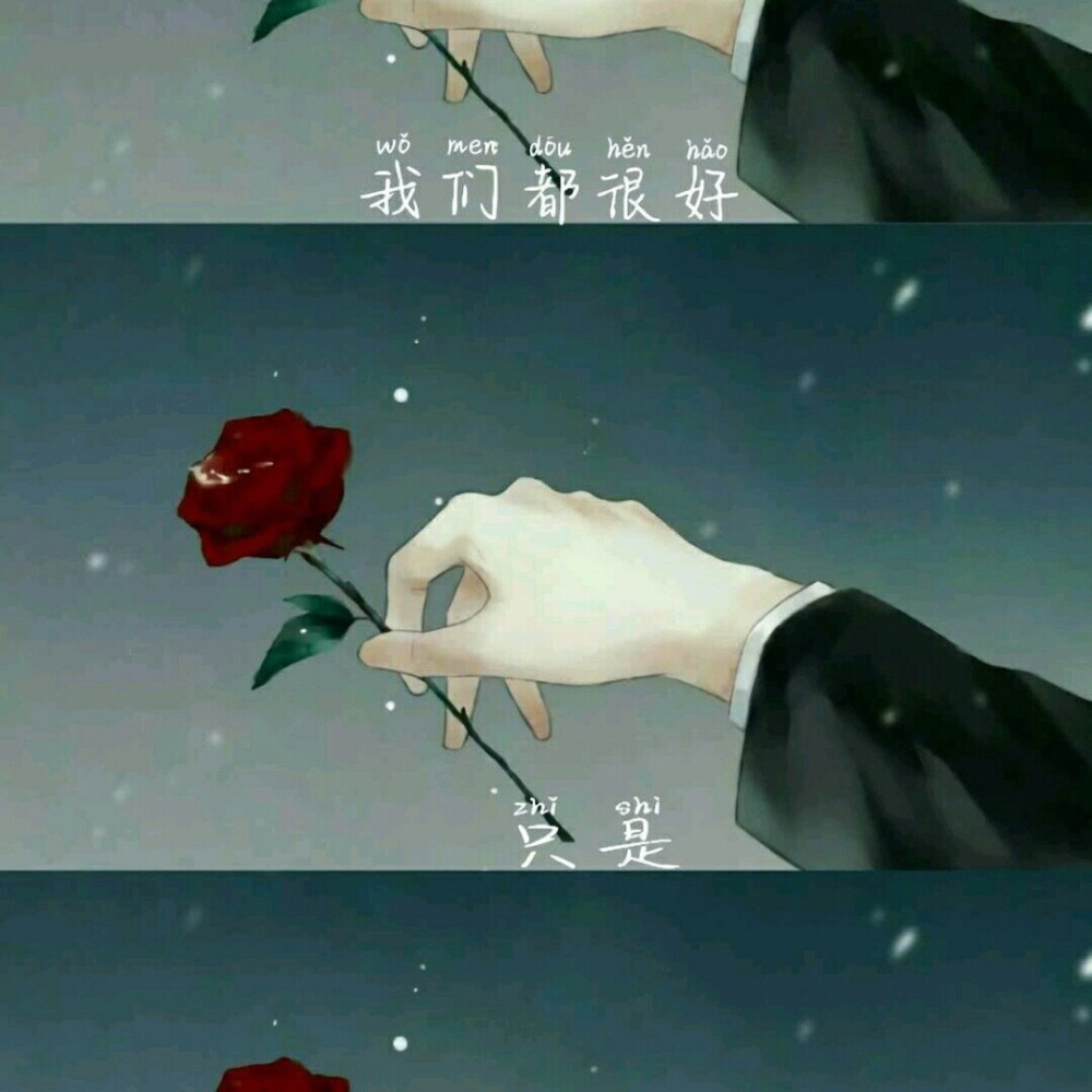 手里面拿着了一支玫瑰花,看他的手皮肤是非常的白皙,和这周围黑色的