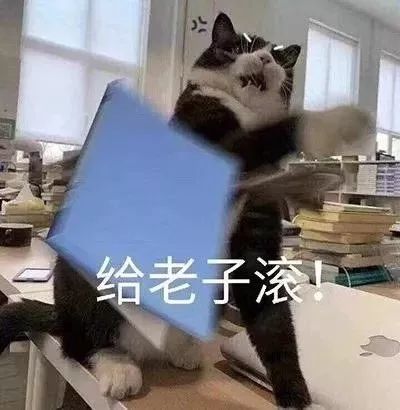 给老子滚啊(猫咪烦躁表情包)