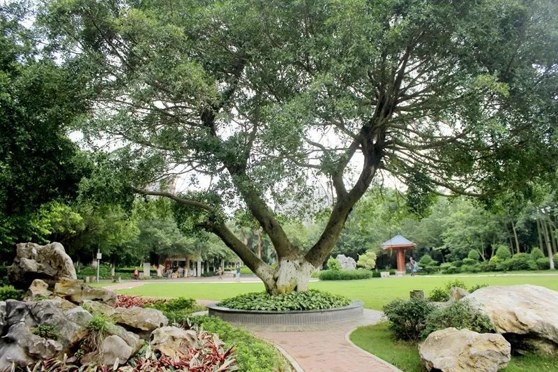 贵港旅游马草江生态公园