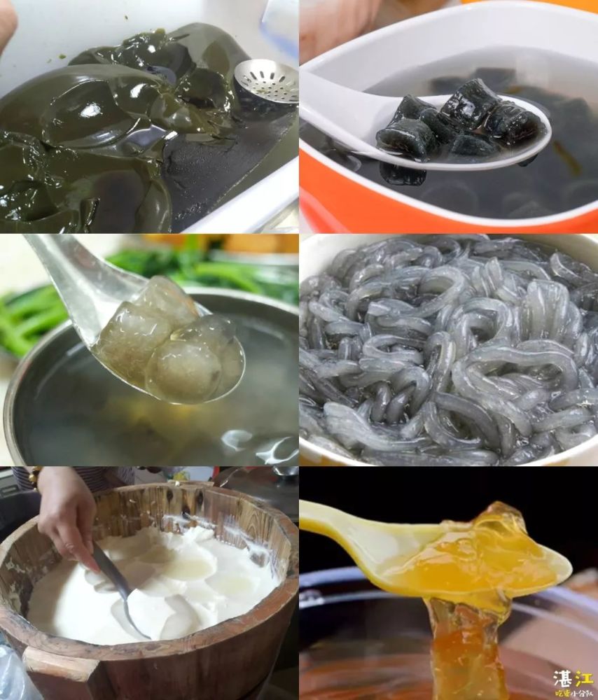 1.凉粉草
