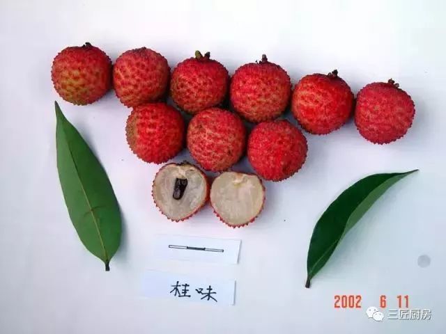 广东,广西,福建,海南,中国哪里产的荔枝最好吃?