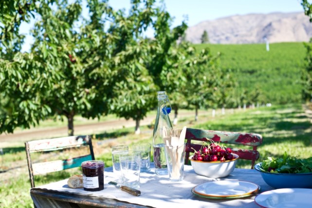 樱自由 正美味美国西北樱桃玩出时令鲜果新标