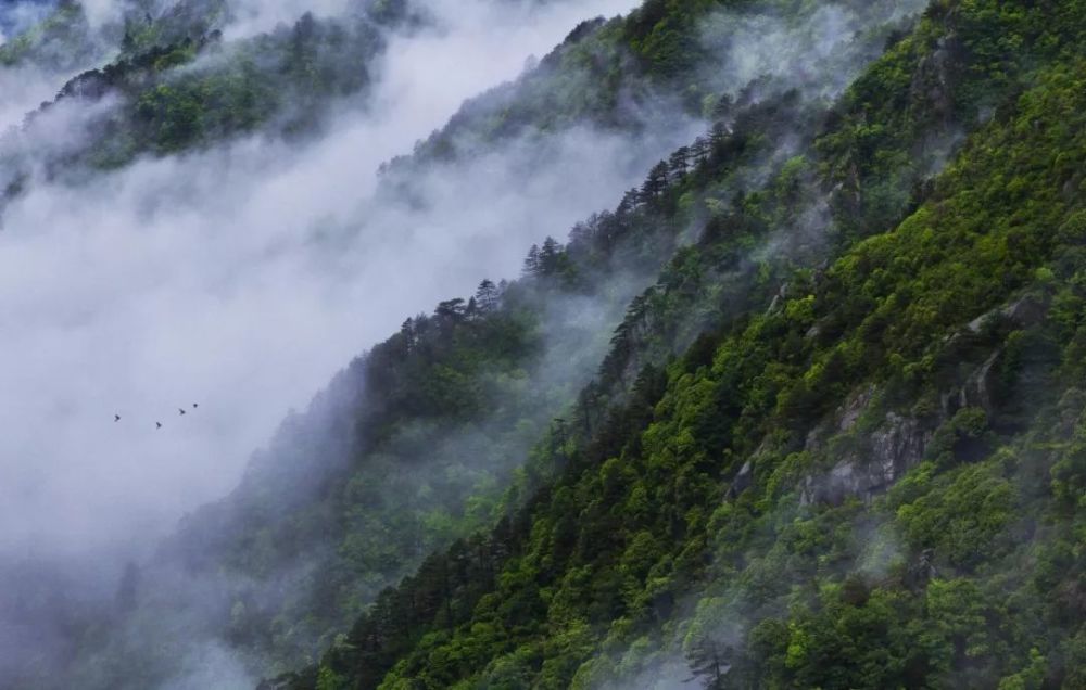 炎炎夏日双牌阳明山邀您避暑