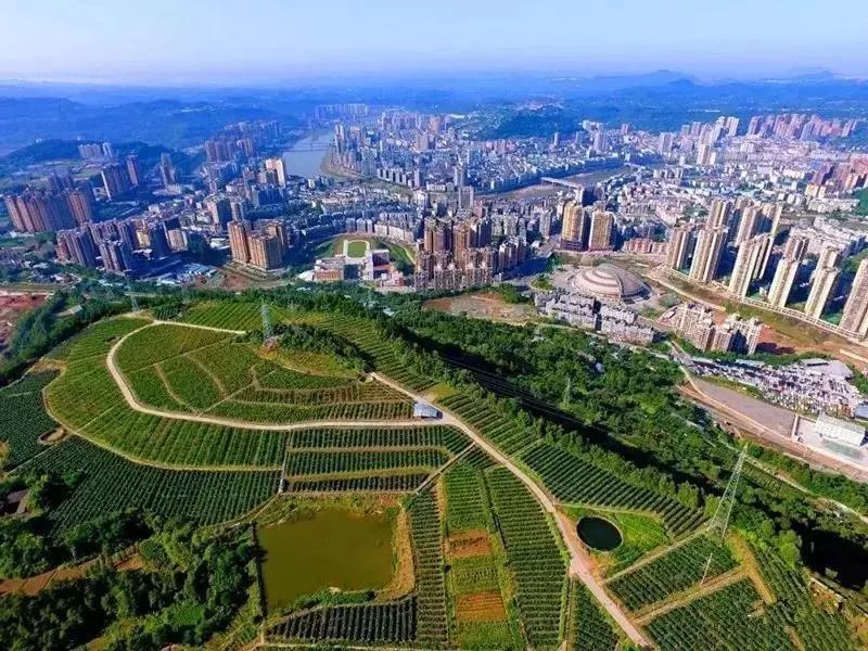 巴中市城区人口_这些照片告诉你巴中变化有多大