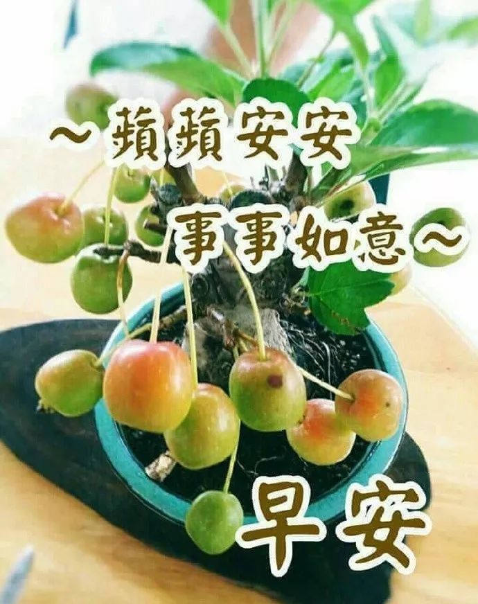 6月8日漂亮早上好祝福语动态图片大全祝福朋友万事如意平安顺心问候