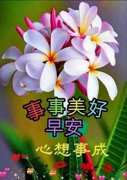 微信最新早安漂亮问候祝福语图片,早上好温暖问候语精选