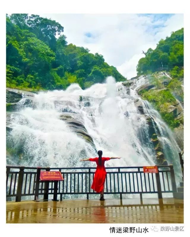 福利|武平梁野山景区"就地过年"免门票月活动来啦!