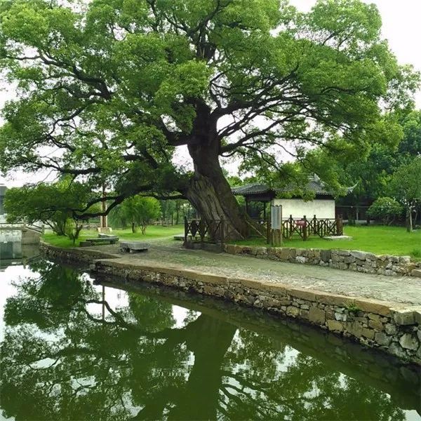 包括:长沙,衡阳,株洲,湘潭,南昌,芜湖,安庆,马鞍山苏州,无锡,杭州