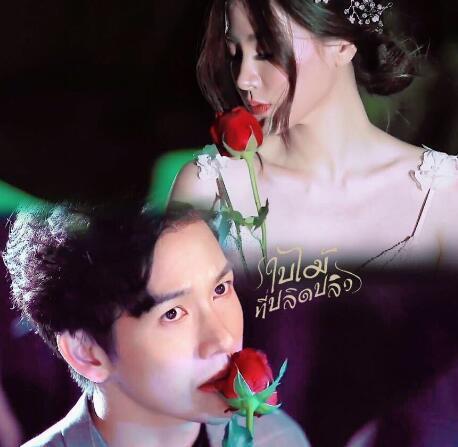 泰剧《吹落的树叶》女主造型盘点
