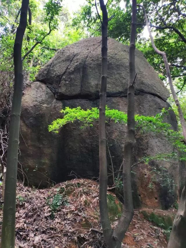 广州黄埔龙头山森林公园游玩