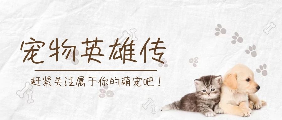 狗狗叫主人起床的不同方式，有的细腻温柔，有的就是泥石流