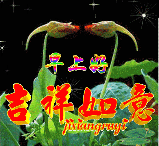2020清晨暖心的早安问候祝福语动态图片,早安唯美动态