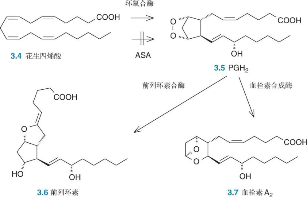 阿司匹林:一个永无止境的故事