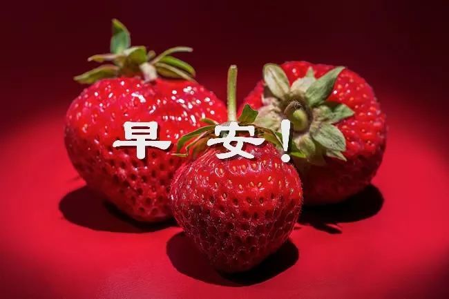 7月4日早安心语一句话哲理
