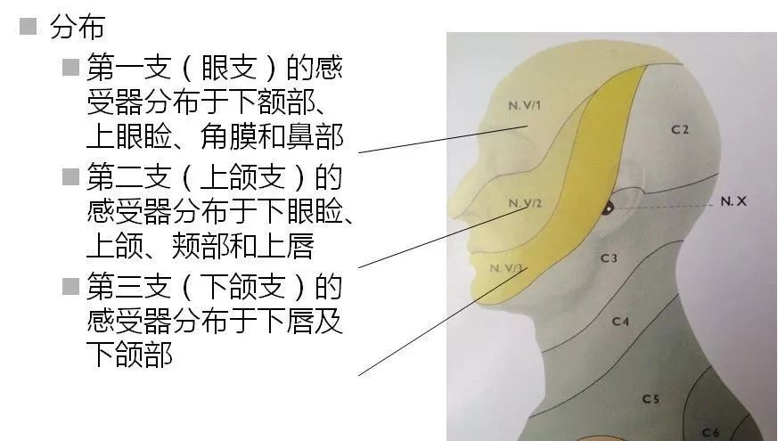 疼痛科医生必备检查知识大全