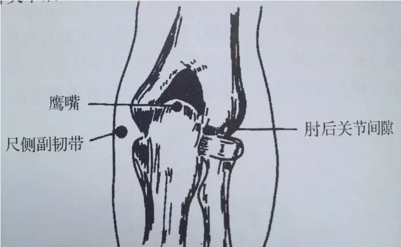 受限或不能运动,提示肩关节有病患,如冻结肩早期,肱二头肌长头腱鞘炎