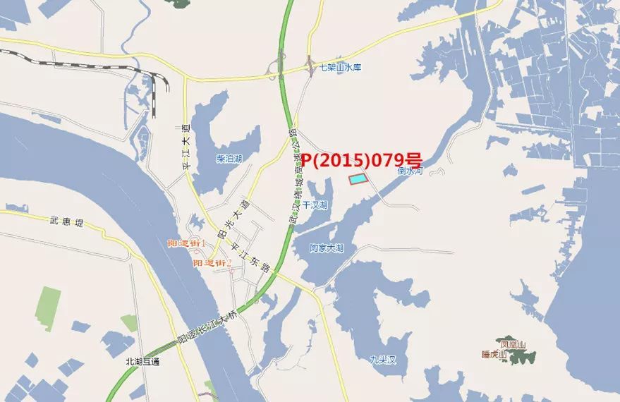 阳逻2019年gdp_2021年春节手抄报